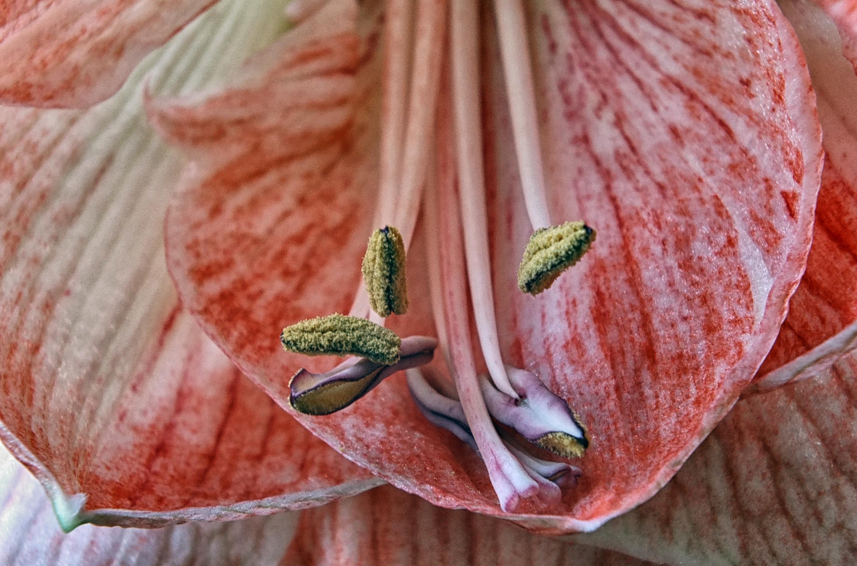 creative commons flickr Gerald Stolk https://flic.kr/p/qKXRU6